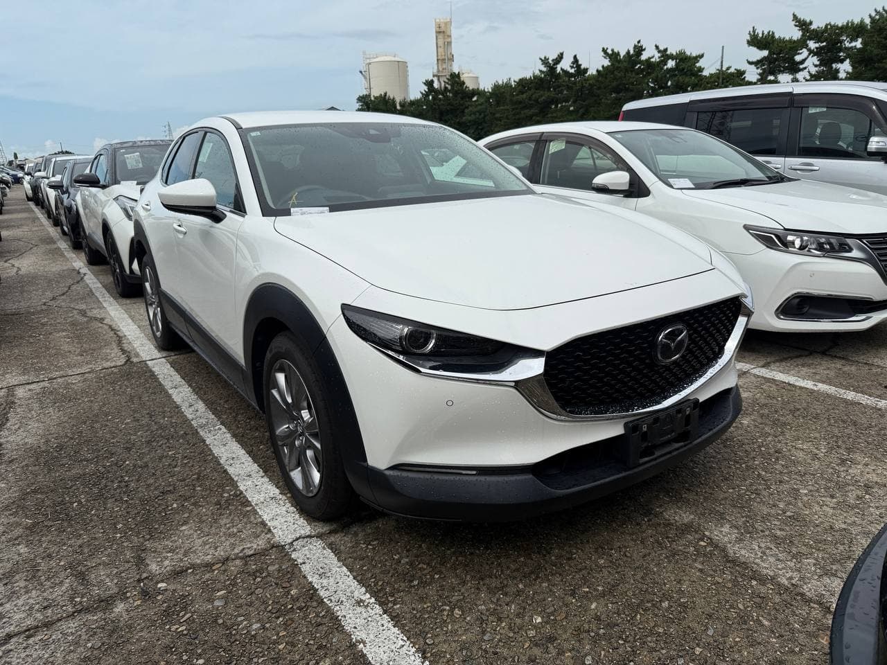 Mazda CX-30 DM8P 2020 — фото 1