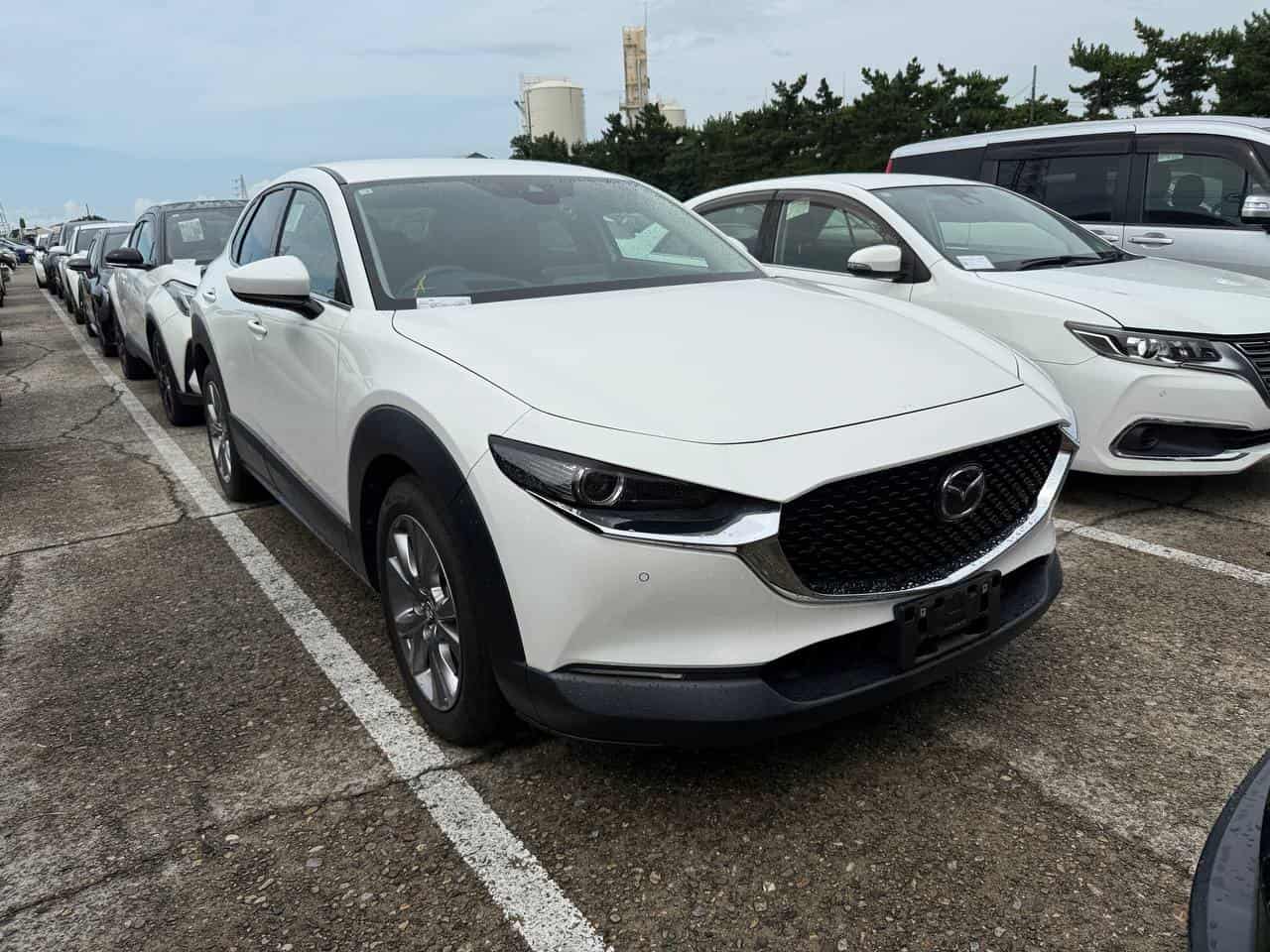 Mazda CX-30 DM8P 2020